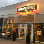 Hippopotamus