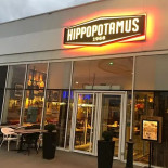Hippopotamus