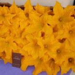 La Tonnelle