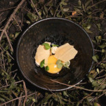 Wild Beets