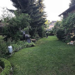 Hirschen