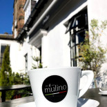 Il Mulino