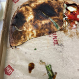 Mod Pizza