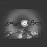 Looney Bean Coffee Roasting Co