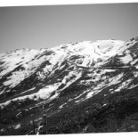 Mancino's Pizza Grinders