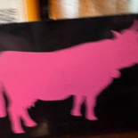 Tipsy Cow