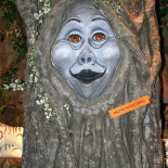 Rainforest Cafe