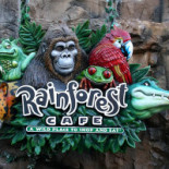 Rainforest Cafe