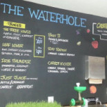 The Waterhole