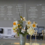 Neighbors Cafe
