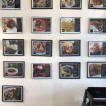 Culantro
