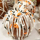 Bert Rocky's Cream Co