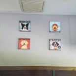Naughty Dogs Pub And Grill