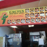 Cactus Silvestre
