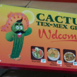Cactus Silvestre