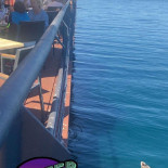 Waterfront Pizza