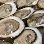 The Seafood Stop