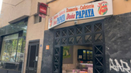 Zumeria Dona Papaya