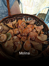 Molina reserva