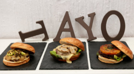 Tayo Fusión Burger