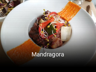 Mandragora reserva de mesa